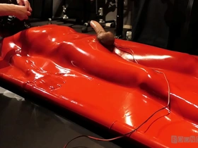 Boundlads - a frenchie in vacbed (part 3 finale)