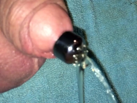 Penis plug sounding with shower head
