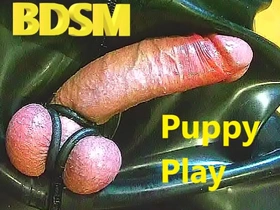 075 bdsm puppy play